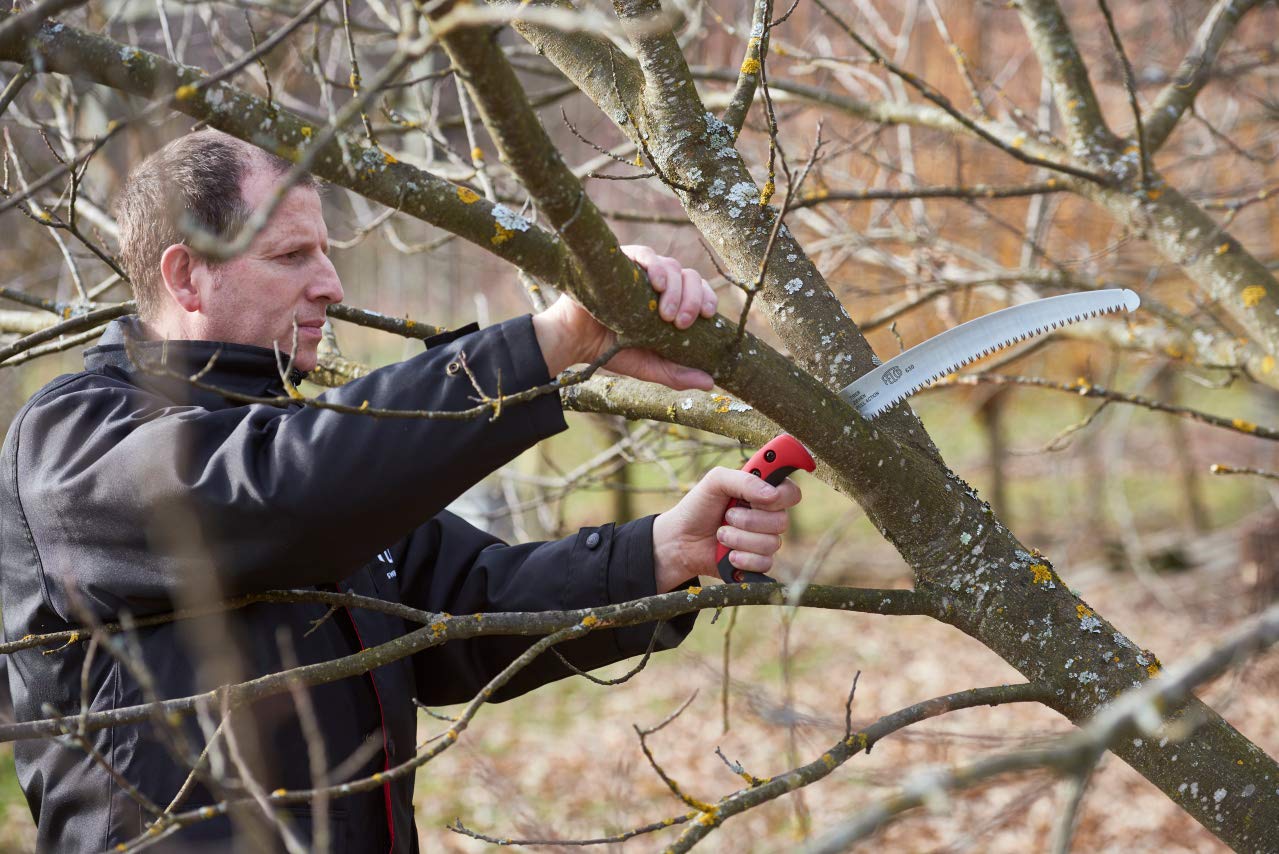 Felco Folding Saw (F 600) - Classic Tree Pruning Saw with Pull-Stroke Action, Red