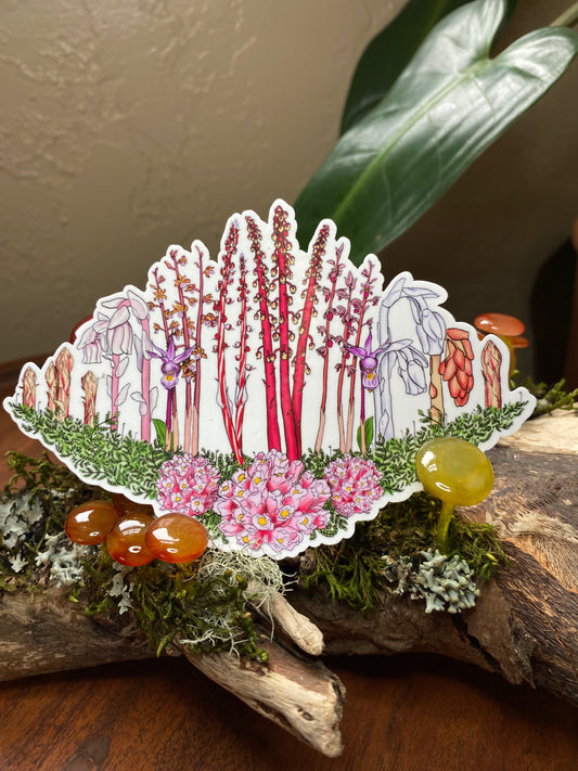 Mycoheterotroph and orchid sticker