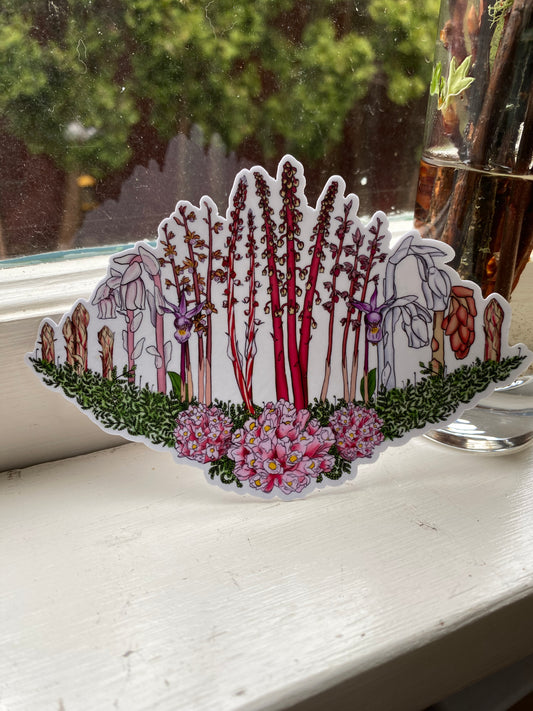 Mycoheterotroph and orchid sticker