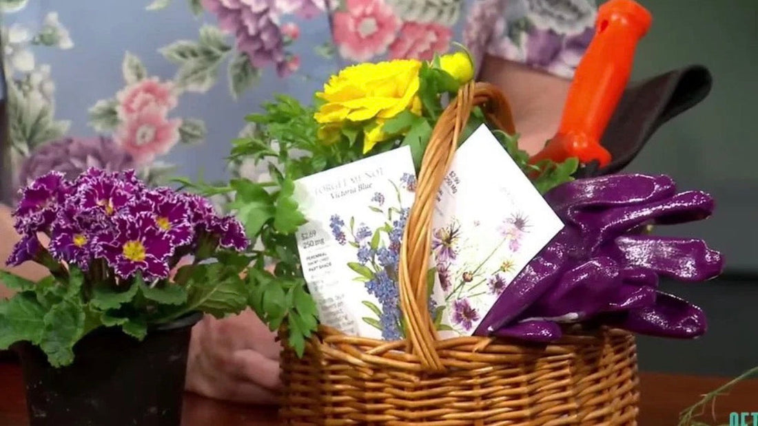 February Gardening Segment on KATU
