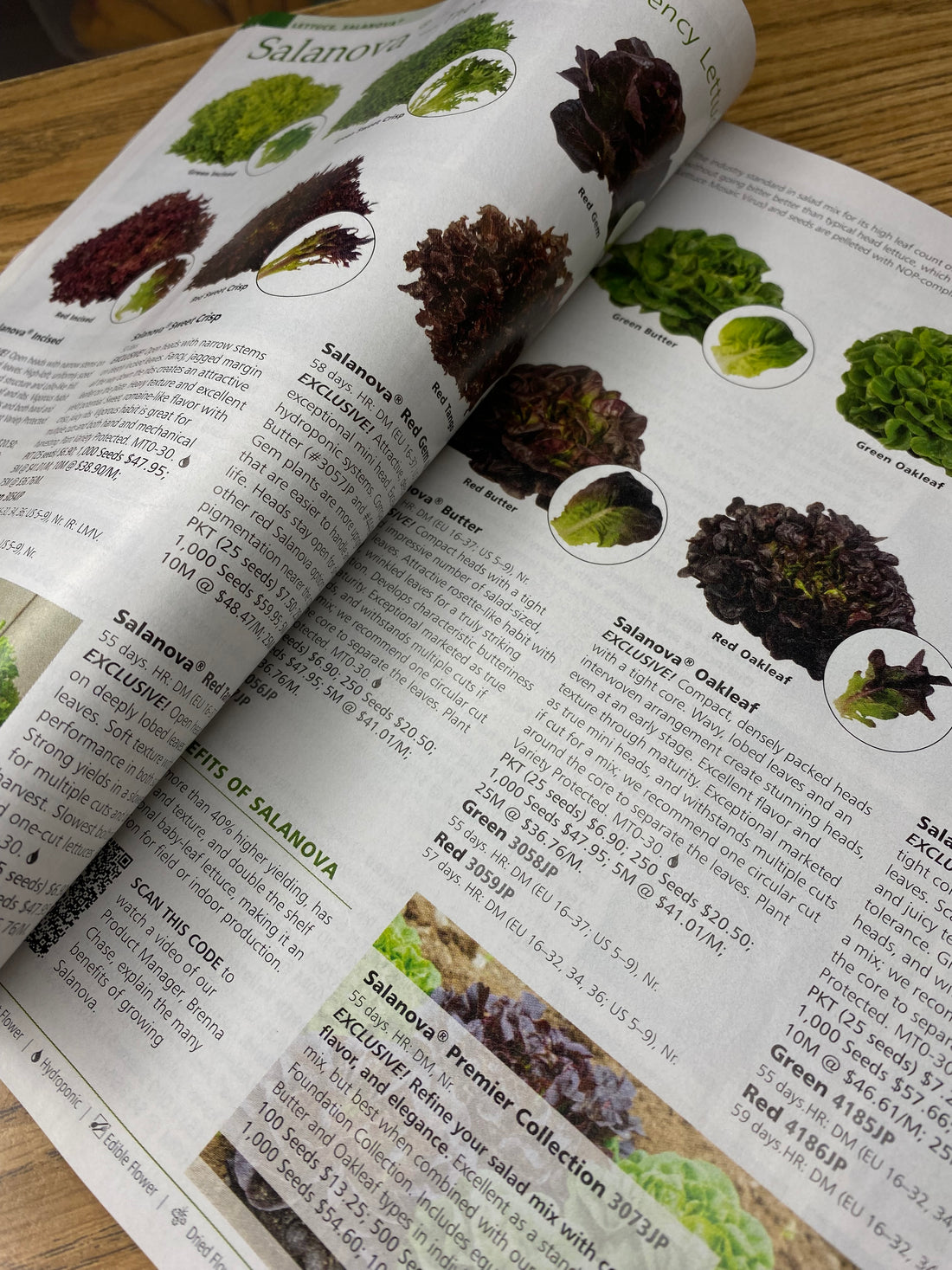 Seed catalogs for gardening
