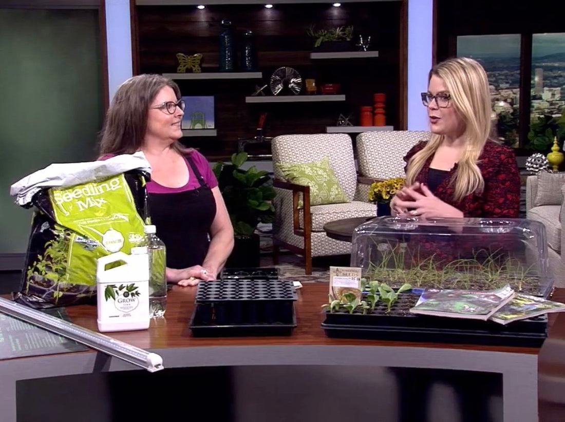 February KATU Afternoon Live: Starting Veggie Seeds