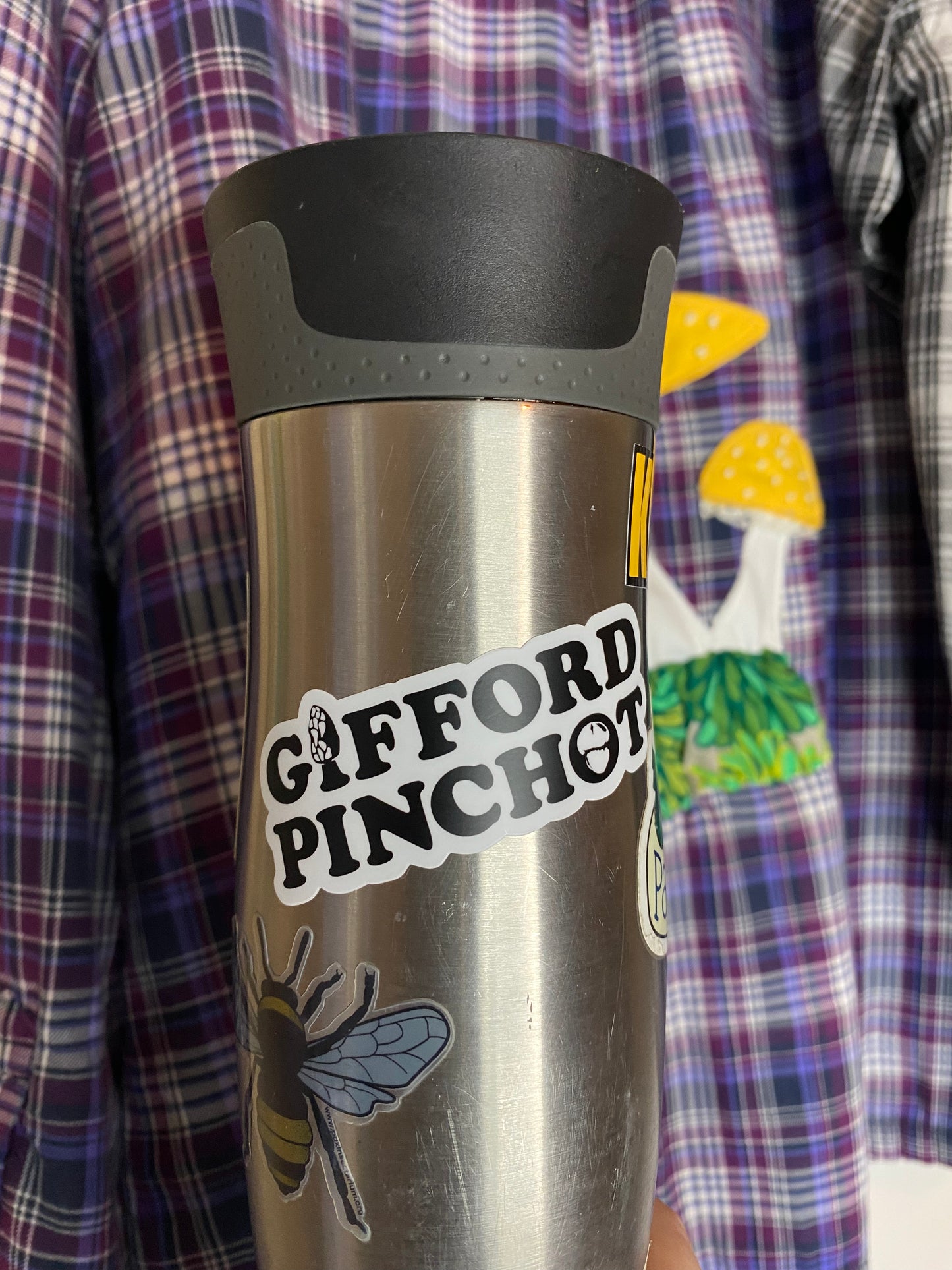 Gifford Pinchot vinyl sticker