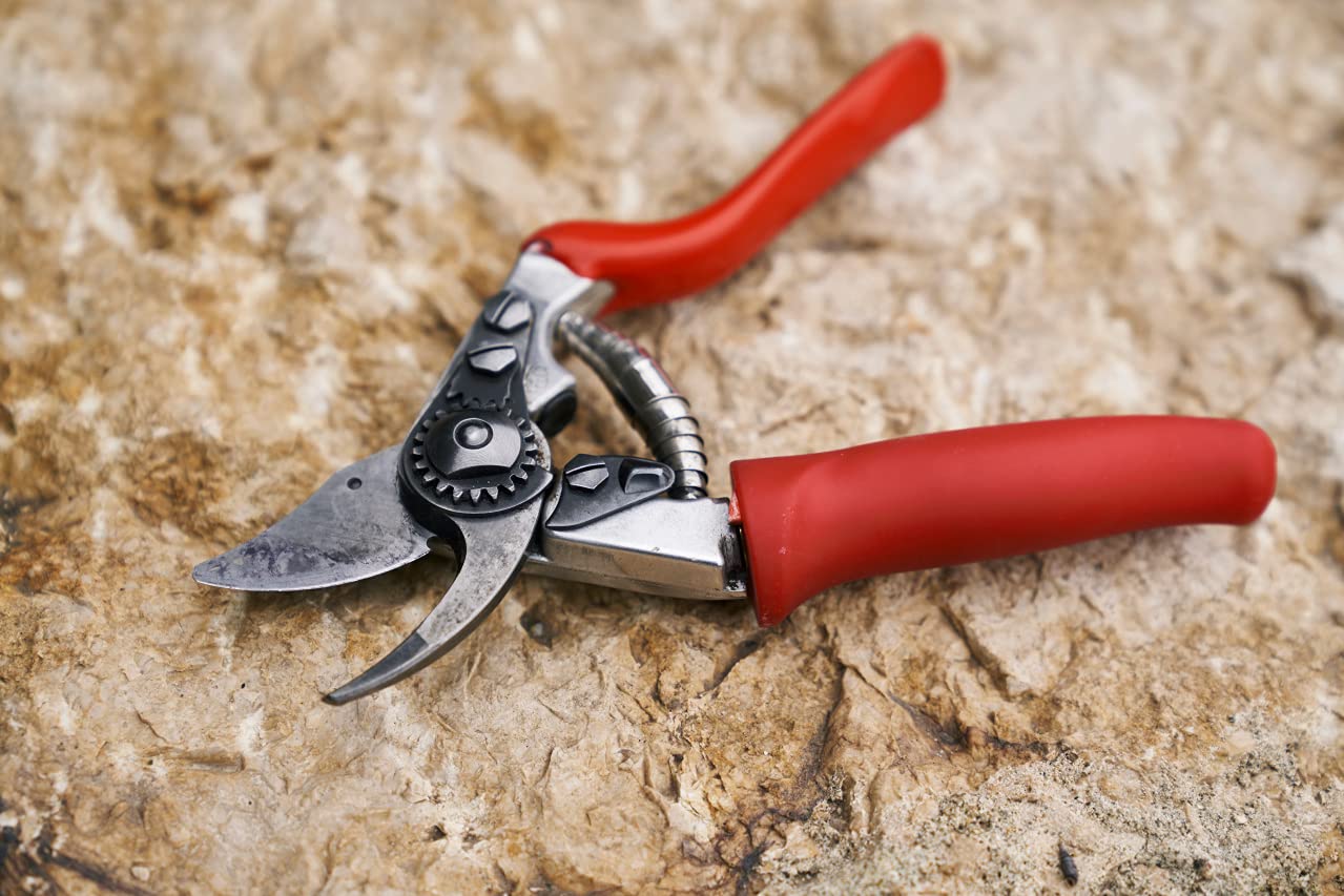 Felco F2 Pruning Shears – 9.25" Swiss-Made Garden Clippers for Professional Pruning | Hand Pruners for Gardening | Garden Tool Cutter with Precision Bypass Blade, Aluminum Body, Replaceable Parts