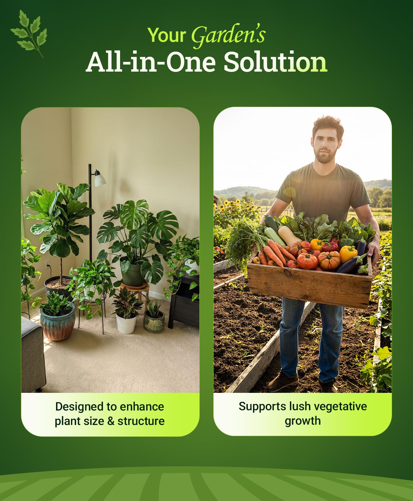 FoxFarm Grow Big Liquid Plant Food - 6-4-4 House Plant Fertilizer for Lush Vegetative Growth, Fast Nutrient Uptake for Roses, Tomatoes & Veggies - Quart Size Concentrate