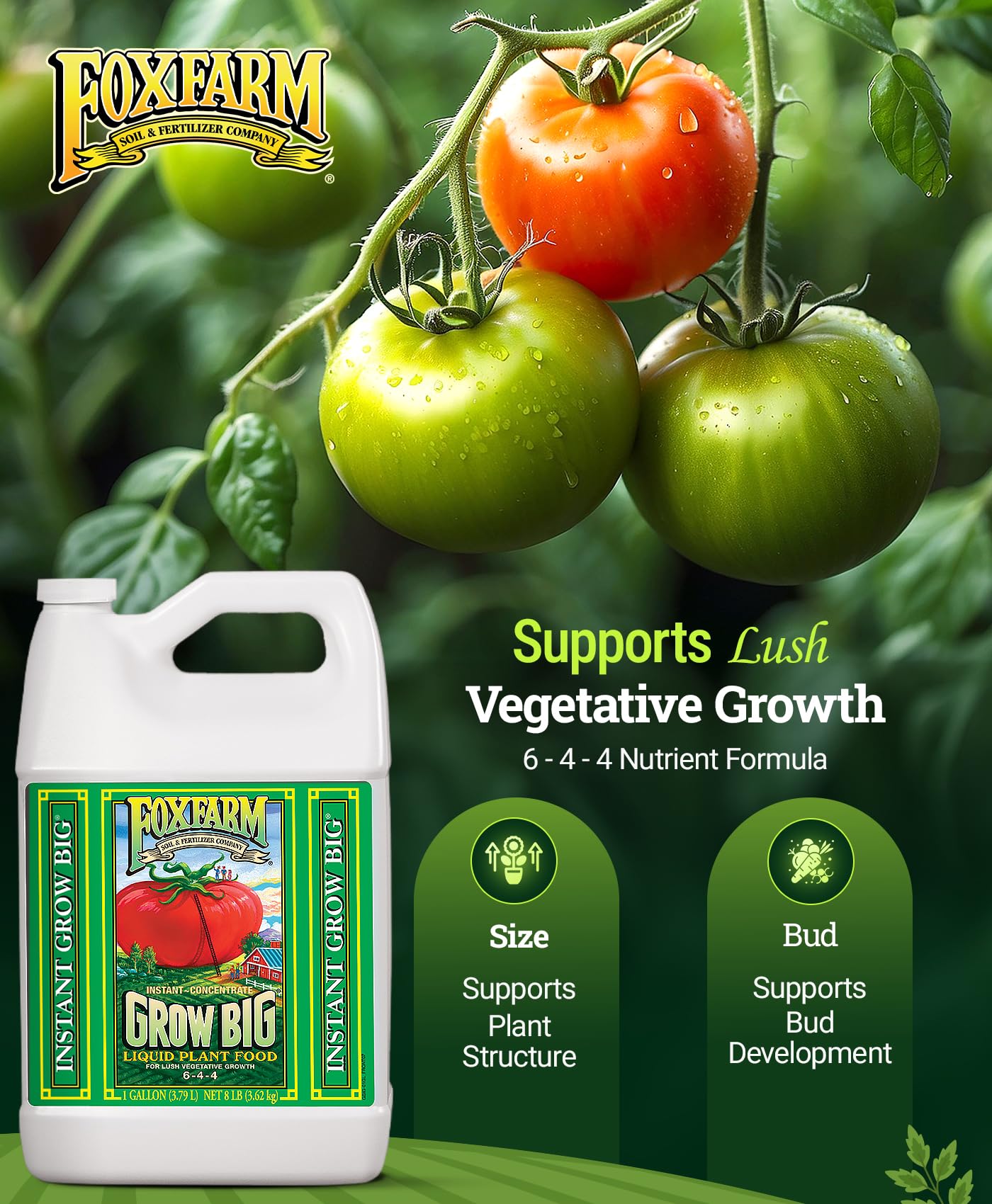 FoxFarm Grow Big Liquid Plant Food - 6-4-4 House Plant Fertilizer for Lush Vegetative Growth, Fast Nutrient Uptake for Roses, Tomatoes & Veggies - Quart Size Concentrate