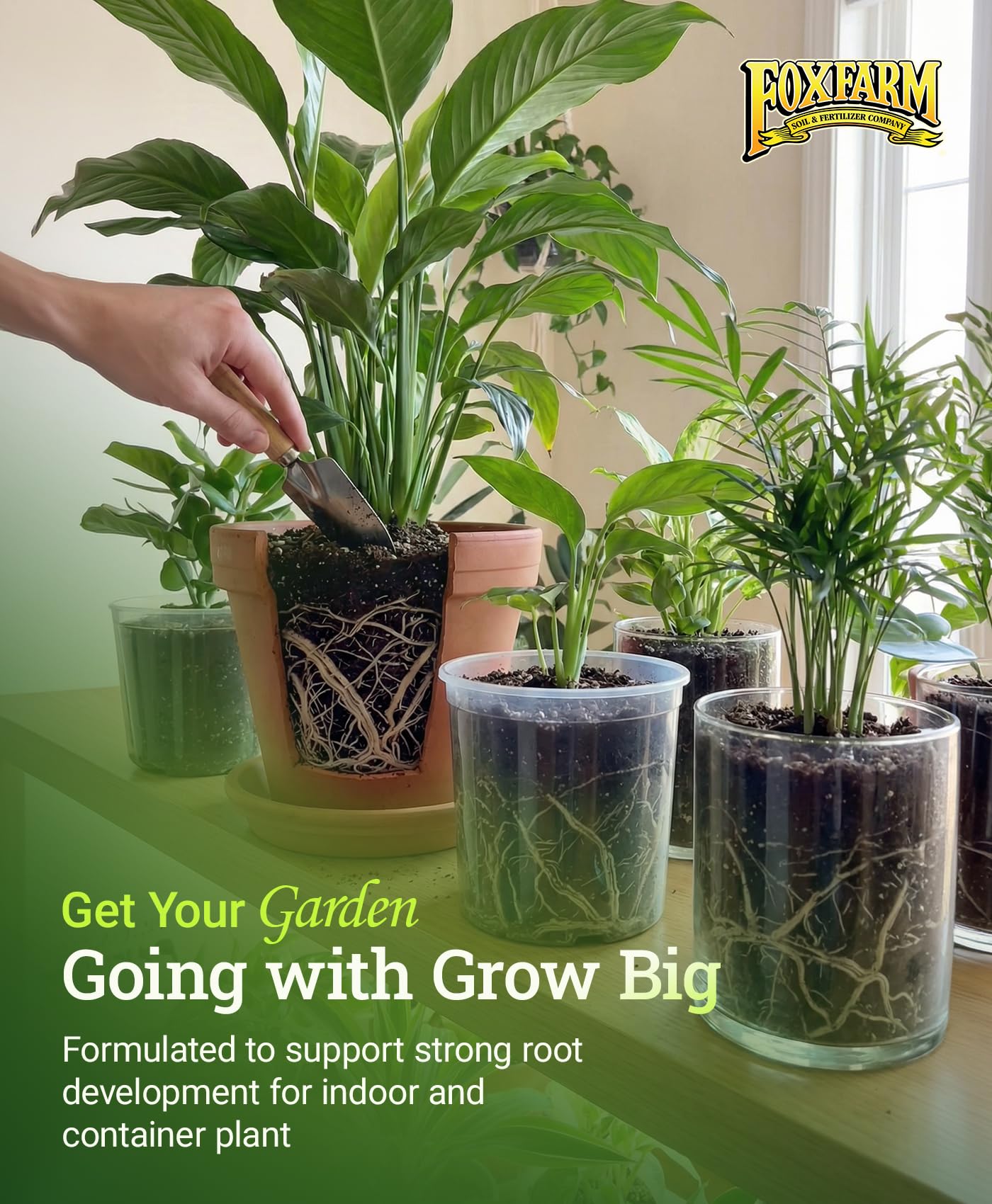 FoxFarm Grow Big Liquid Plant Food - 6-4-4 House Plant Fertilizer for Lush Vegetative Growth, Fast Nutrient Uptake for Roses, Tomatoes & Veggies - Quart Size Concentrate