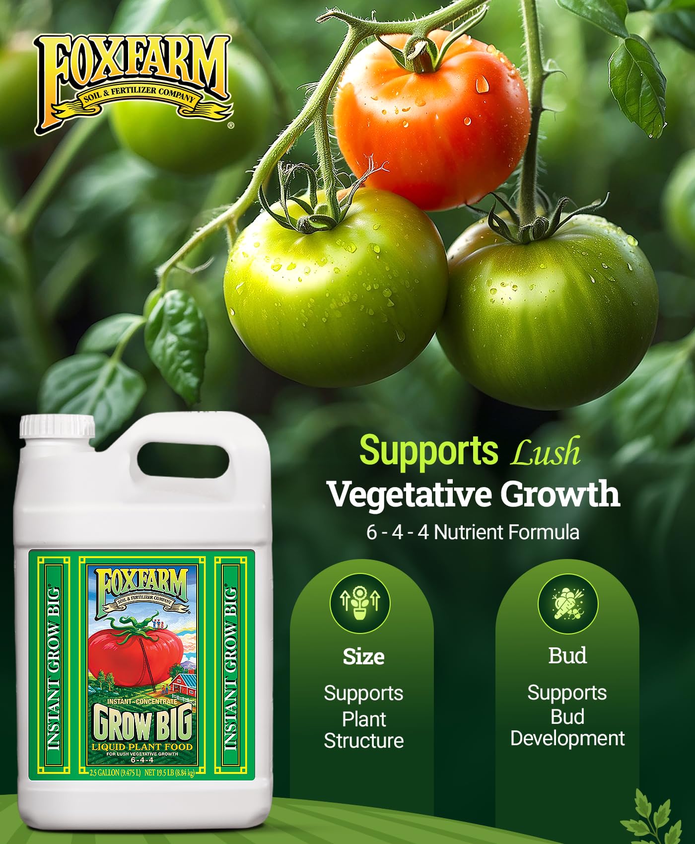 FoxFarm Grow Big Liquid Plant Food - 6-4-4 House Plant Fertilizer for Lush Vegetative Growth, Fast Nutrient Uptake for Roses, Tomatoes & Veggies - Quart Size Concentrate