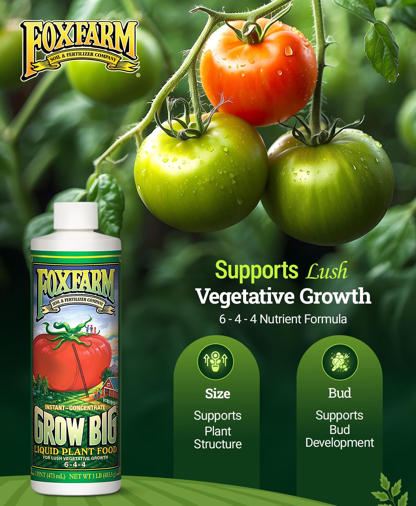 FoxFarm Grow Big Liquid Plant Food - 6-4-4 House Plant Fertilizer for Lush Vegetative Growth, Fast Nutrient Uptake for Roses, Tomatoes & Veggies - Quart Size Concentrate