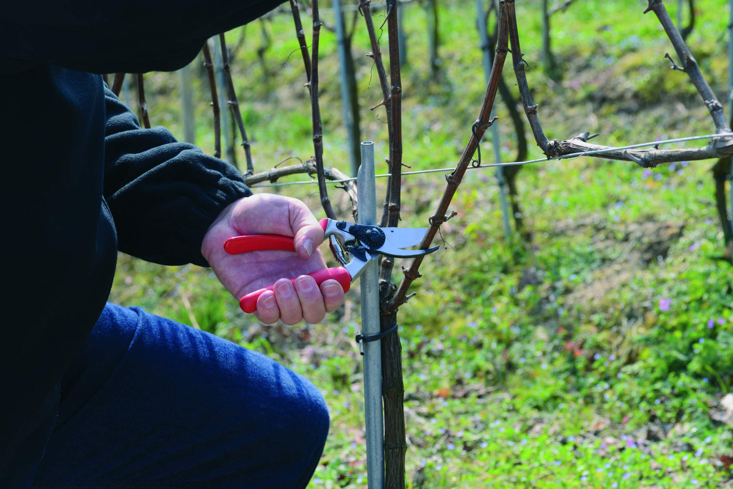 Felco F2 Pruning Shears – 9.25" Swiss-Made Garden Clippers for Professional Pruning | Hand Pruners for Gardening | Garden Tool Cutter with Precision Bypass Blade, Aluminum Body, Replaceable Parts