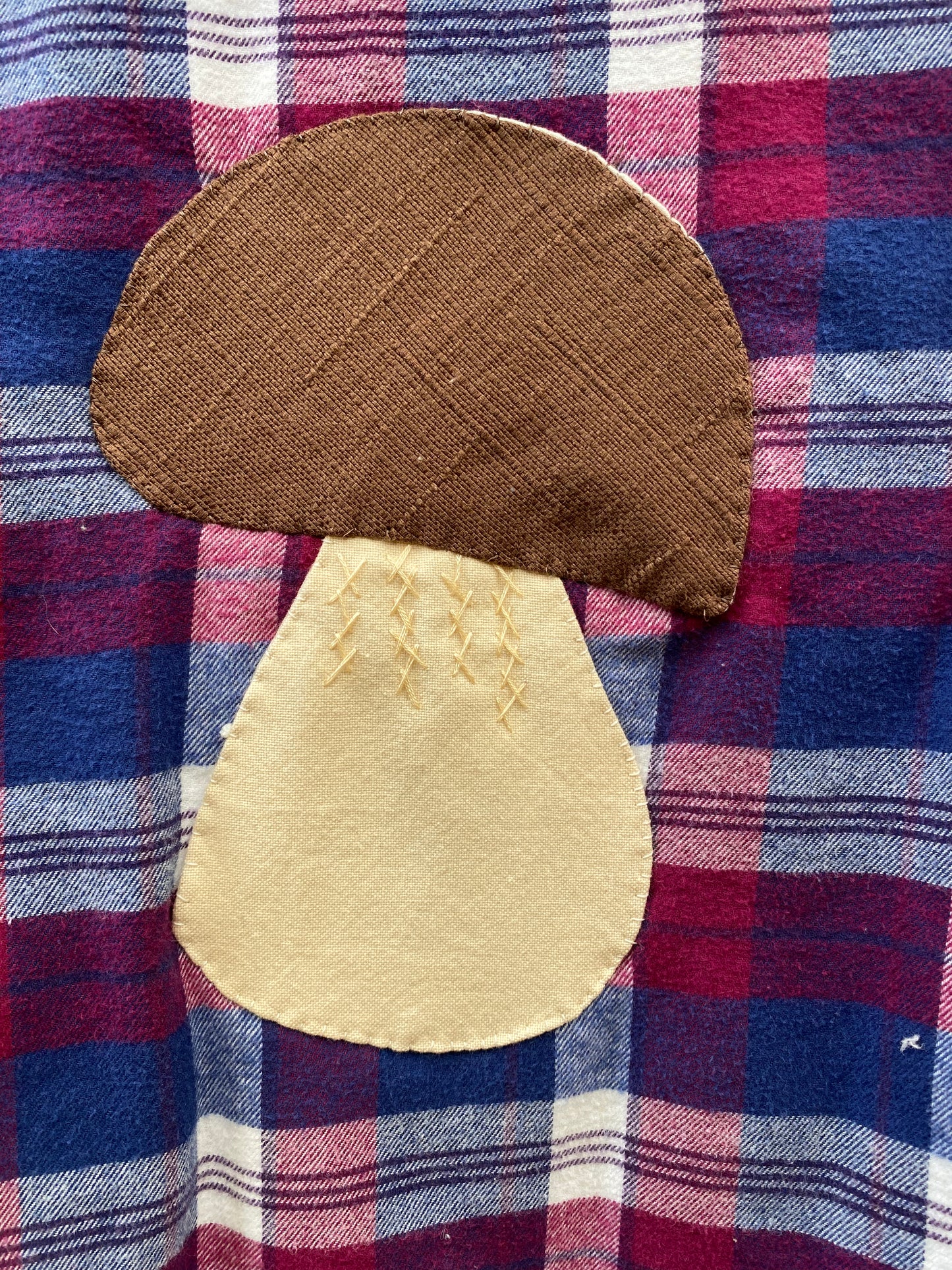 Bolete and Amanita Insulated Flannel Hoodie with Pockets, Women's Medium