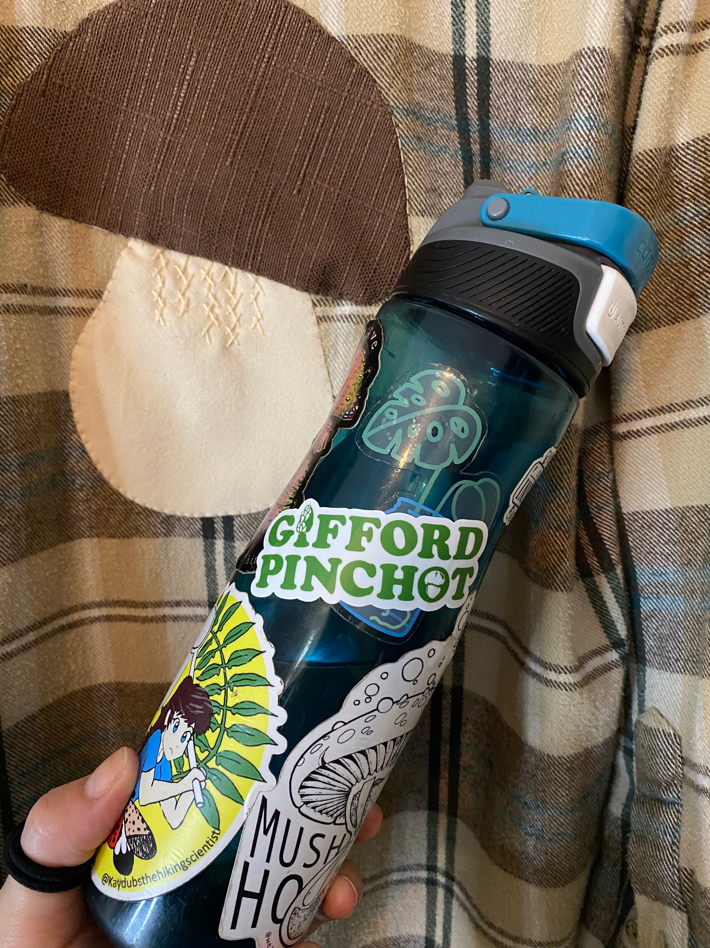 Gifford Pinchot sticker(green font)